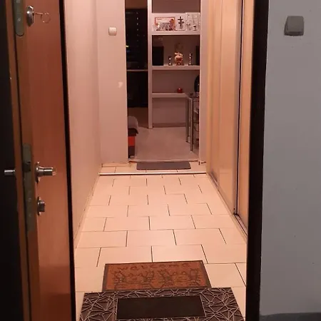 アパート Apartament Przylesie *